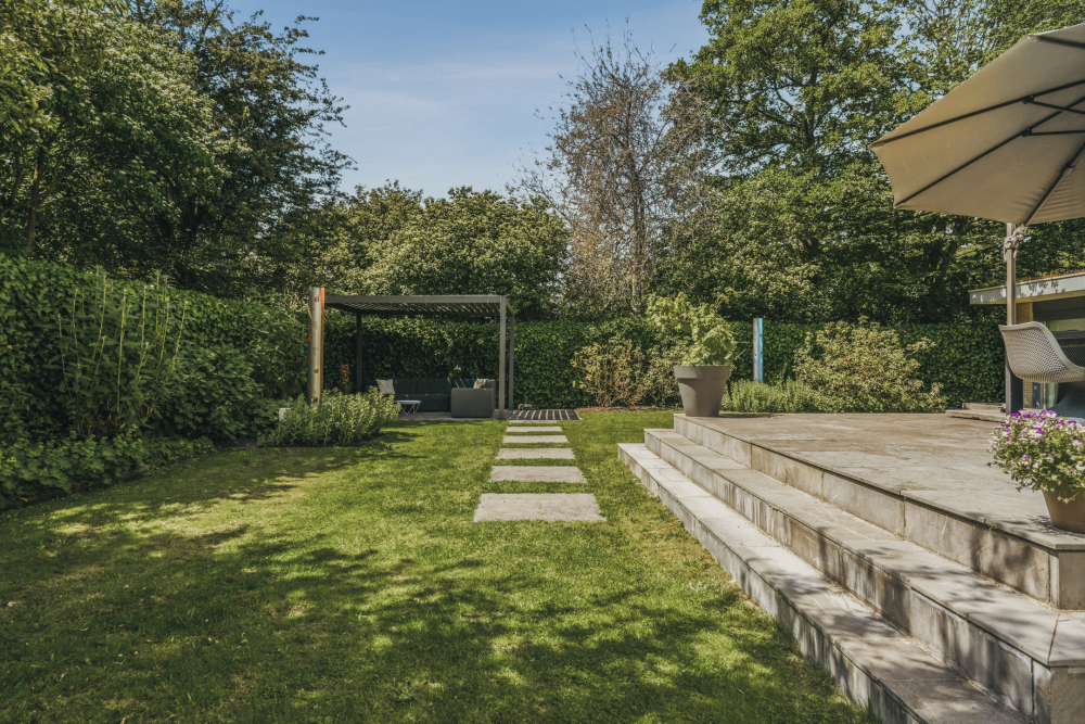 Foto 63 1000w