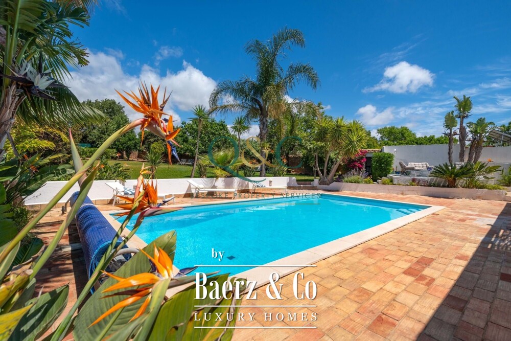 Foto 17 1000w